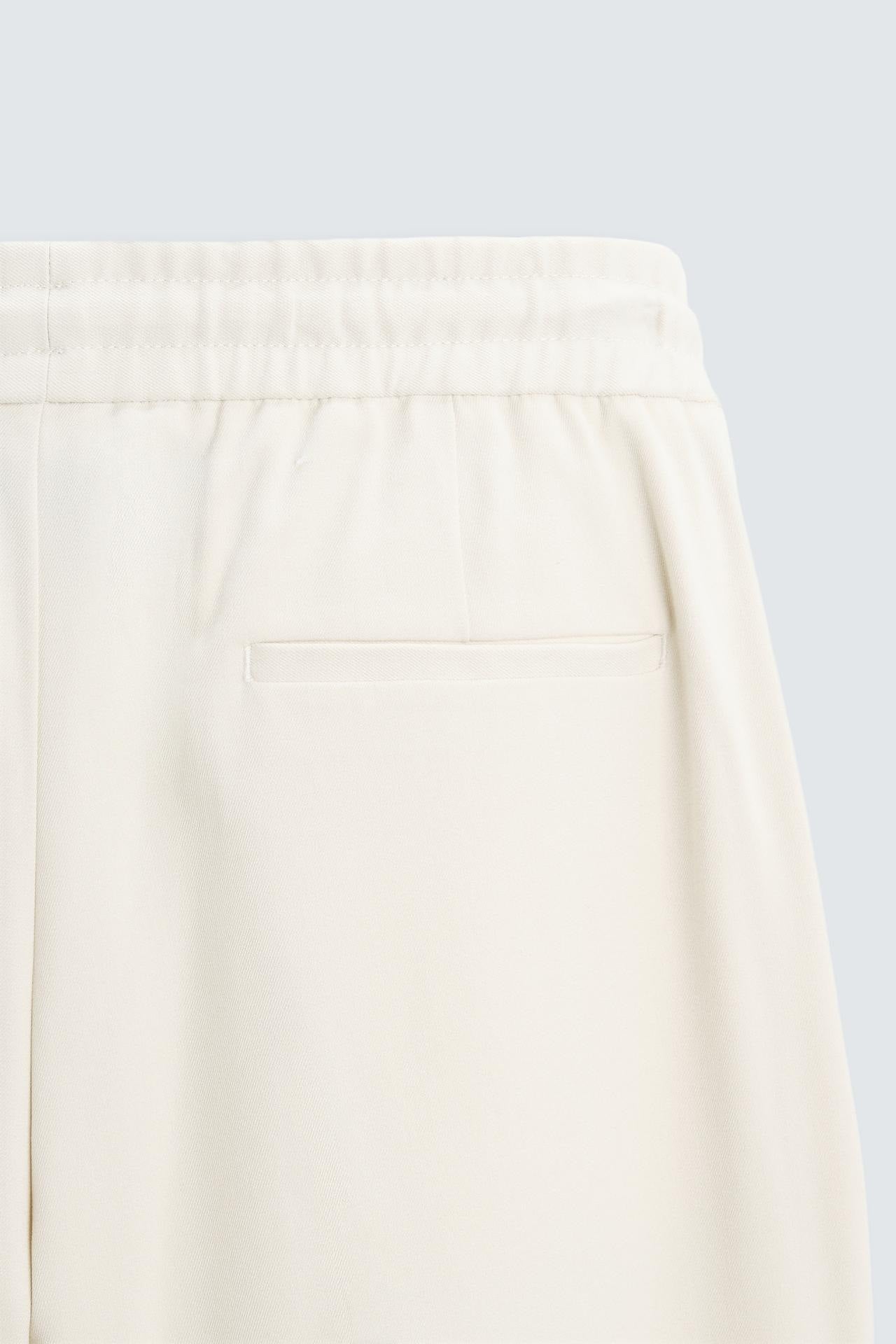 Zara Classic Pants