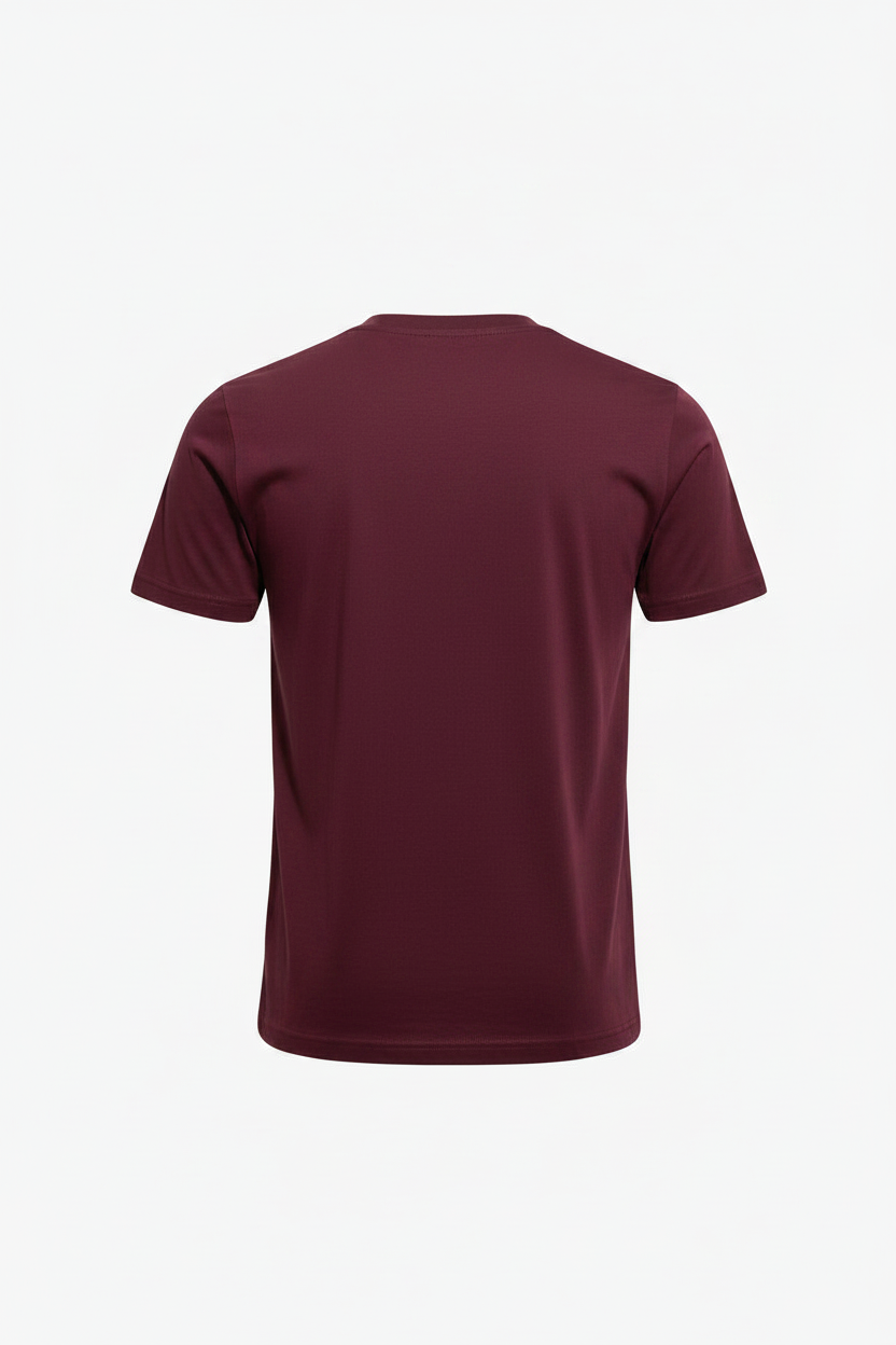Aéropostale Burgundy Graphic T-Shirt