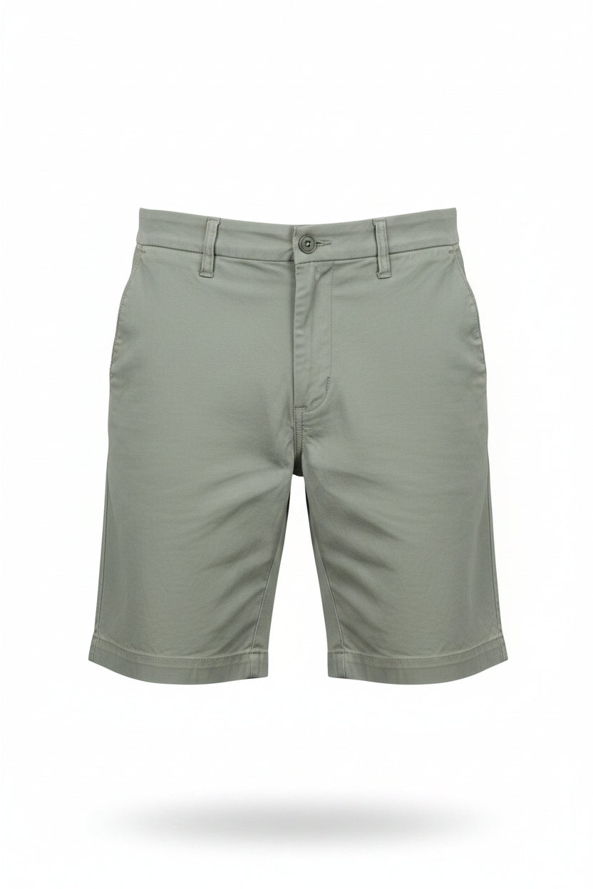 American Eagle men's flex chino shorts
