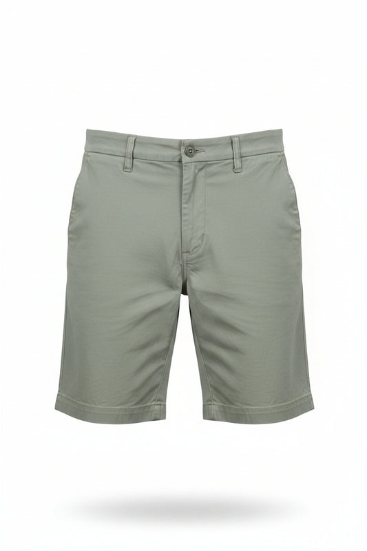 American Eagle men's flex chino shorts