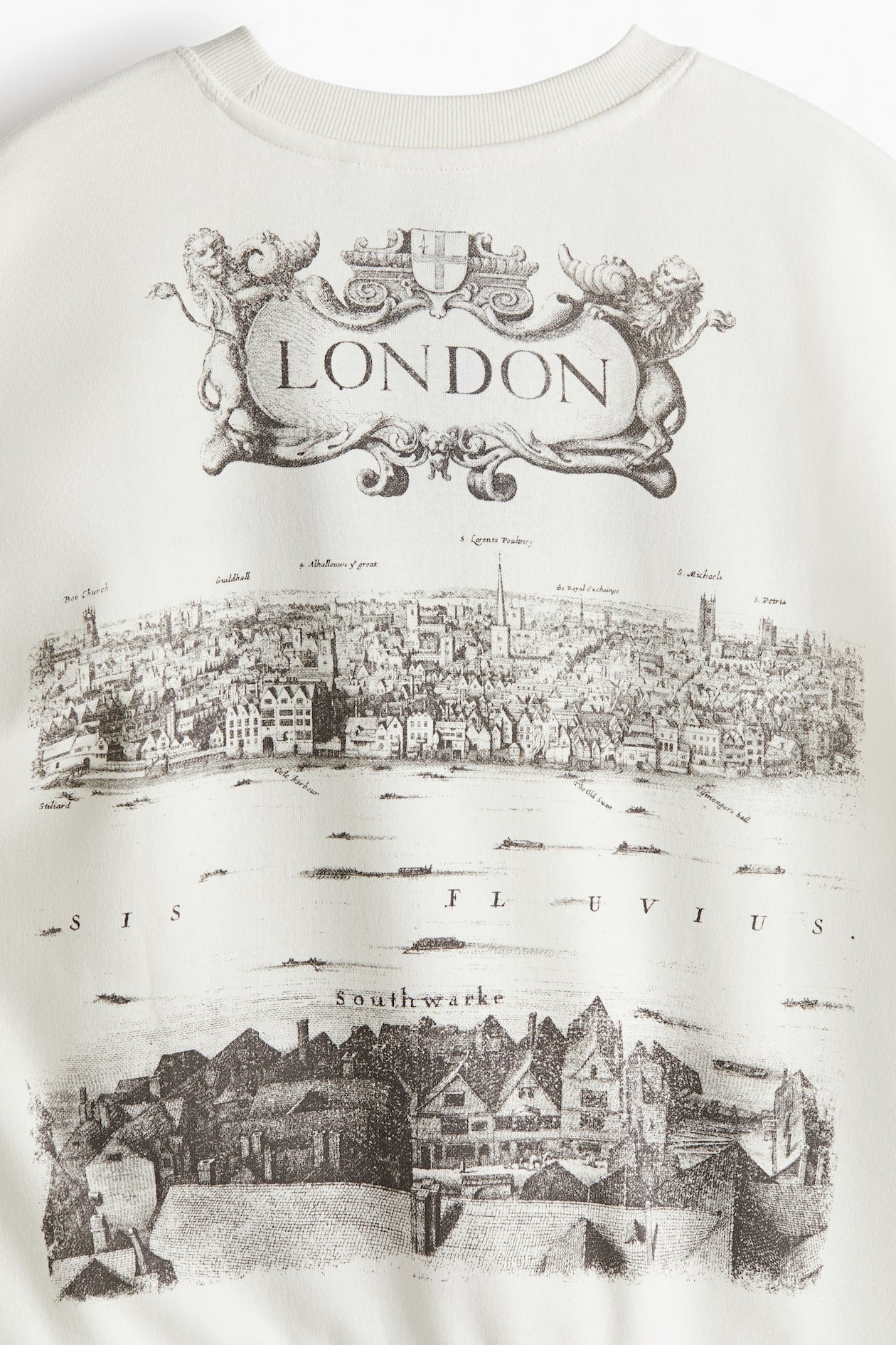 H&M crewneck sweatshirt