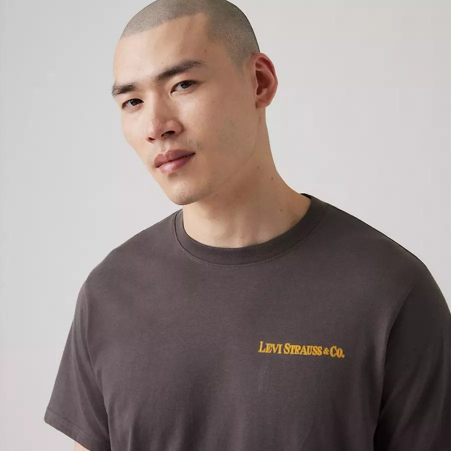 Levis printed tee - Relaxed fit
