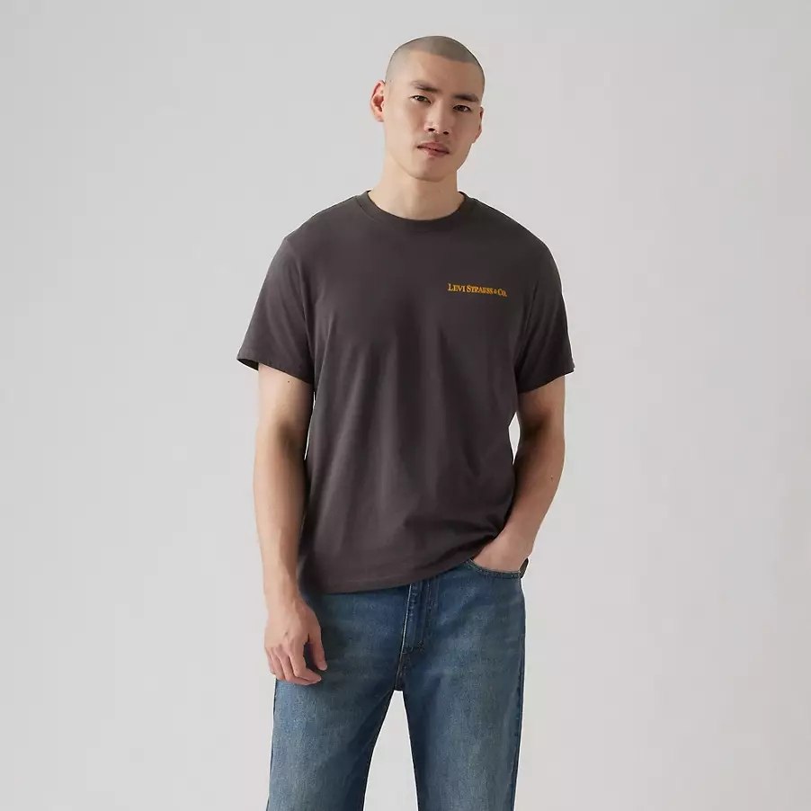 Levis printed tee - Relaxed fit