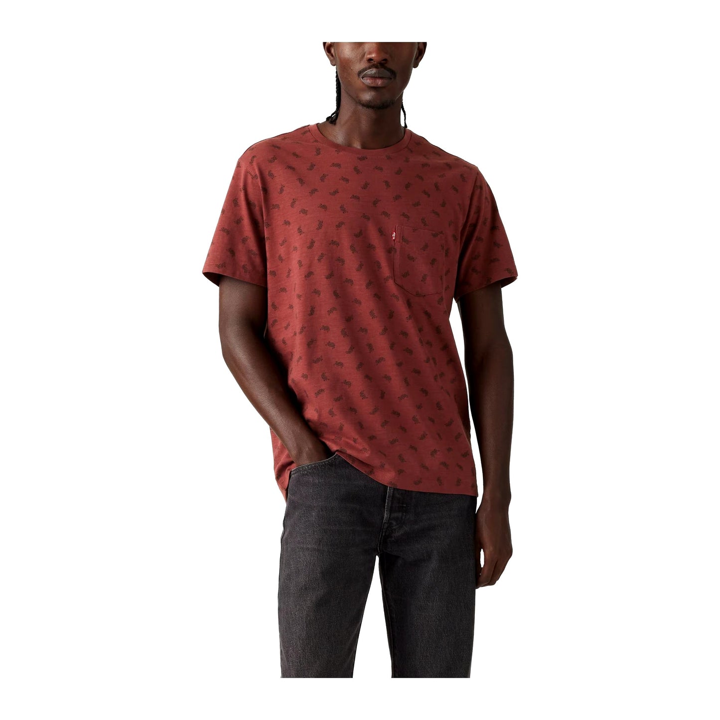 Levis printed tee - Relaxed fit