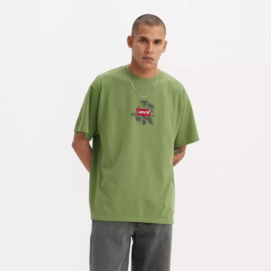 Levis printed tee - Relaxed fit