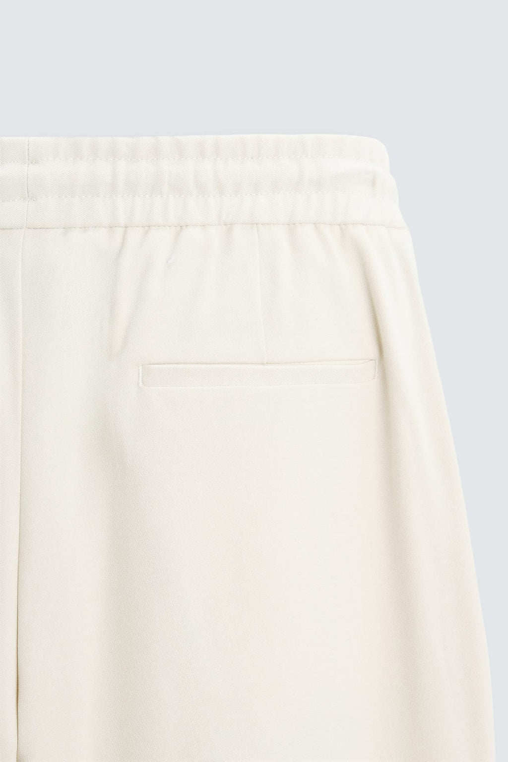 Zara Classic Pants