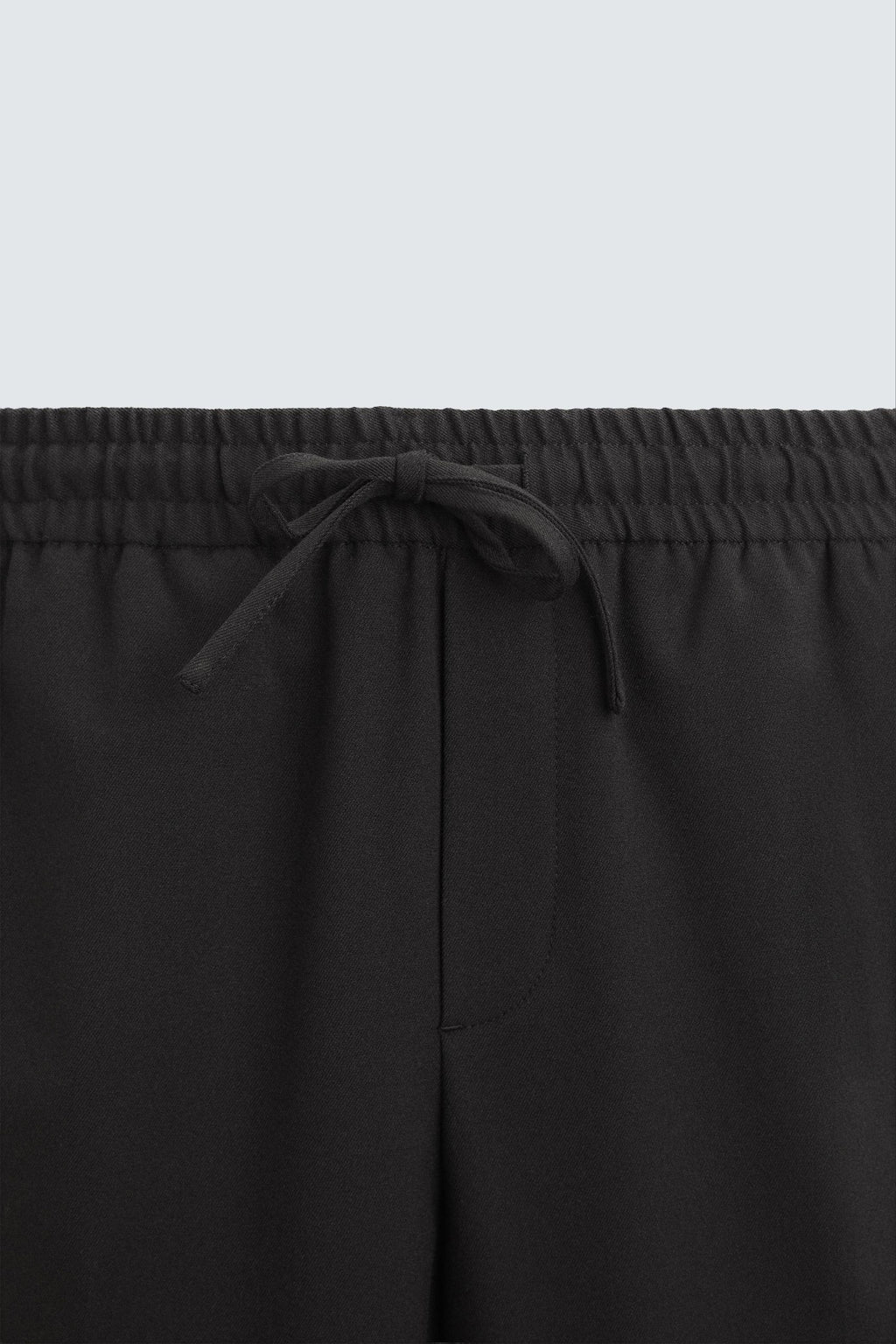 Zara Classic Pants