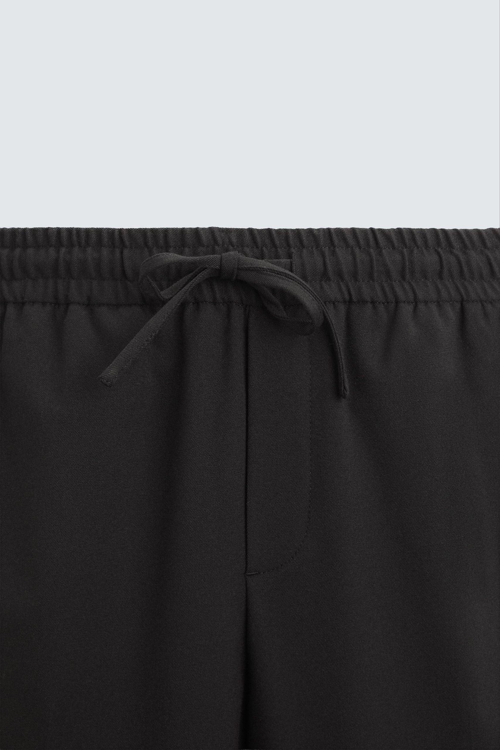 Zara Classic Pants