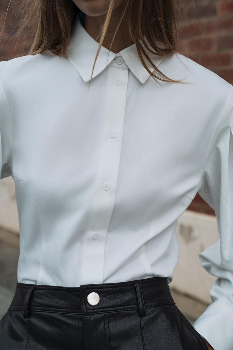 Zara Pleated Sleeve Shirt