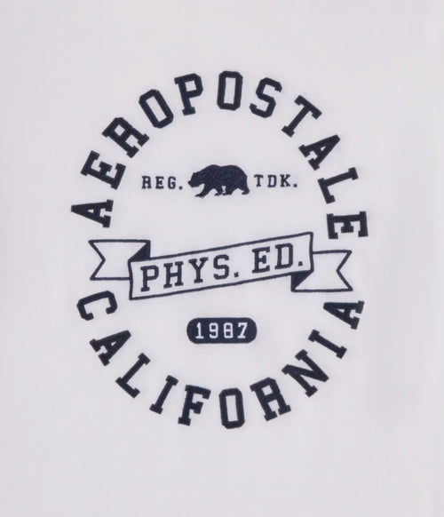 Aeropostale printed T-shirt